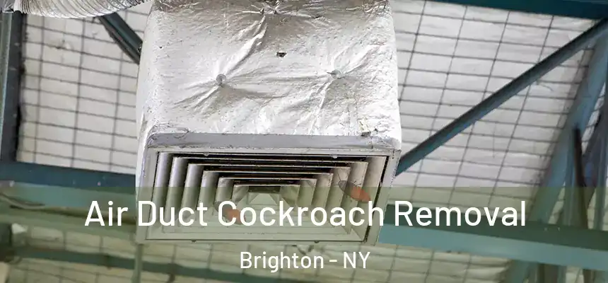  Air Duct Cockroach Removal Brighton - NY
