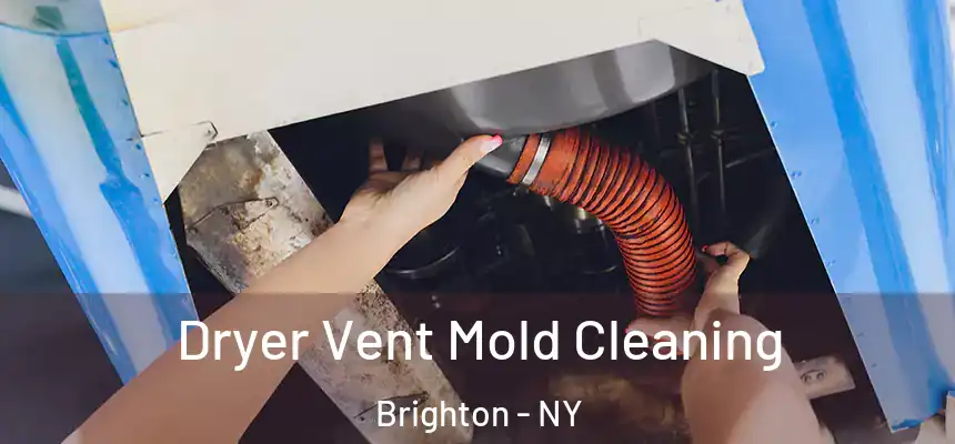  Dryer Vent Mold Cleaning Brighton - NY