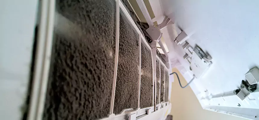 Preventive Air Duct Bacteria Removal in Brighton