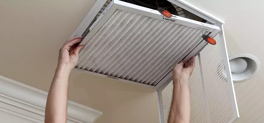 Preventive Cockroach-Proofing for Ducts in Brighton