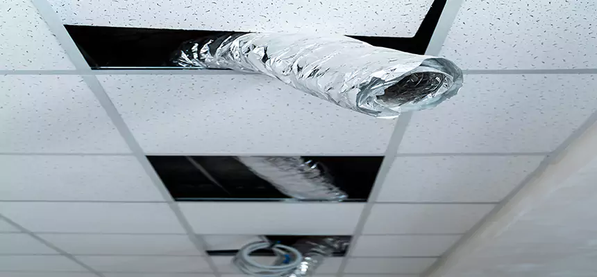 Our Air Duct Pet Hair Removal Services in Brighton, NY