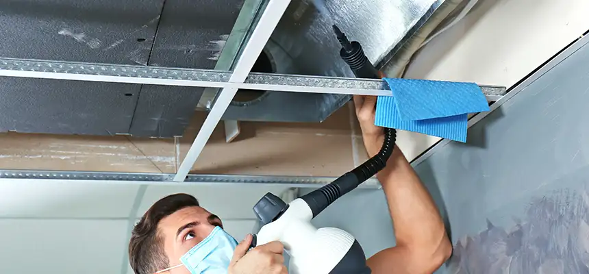 Our Air Duct Rodent Removal Services in Brighton, NY