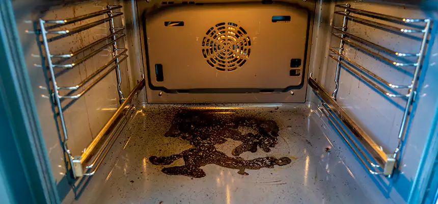 Our Dryer Vent Mold Cleaning Services in Brighton, NY