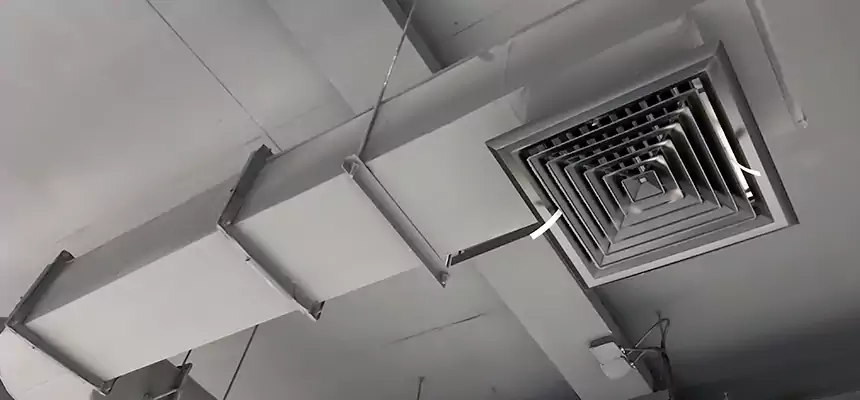 Our Pest Removal From Ducts Services in Brighton, NY