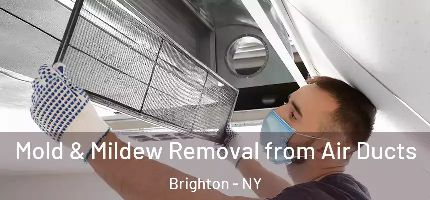 Mold & Mildew Removal from Air Ducts Brighton - NY