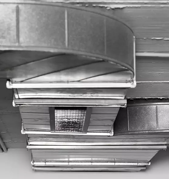 Professional Air Duct Pest Removal in Brighton, NY