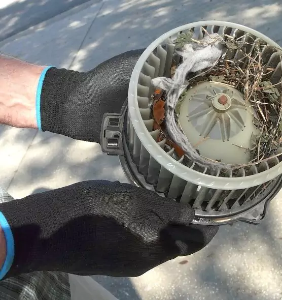 About Air Duct Rat Removal in Brighton, NY