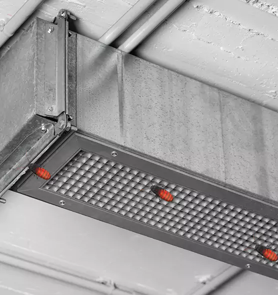 Affordable Insect Removal from Air Ducts in Brighton, NY