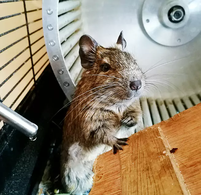 Why Homeowners & Businesses Trust Us Brighton, NY