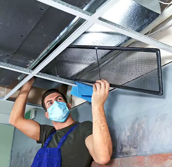 Why Homeowners Businesses Trust Us in Brighton, NY