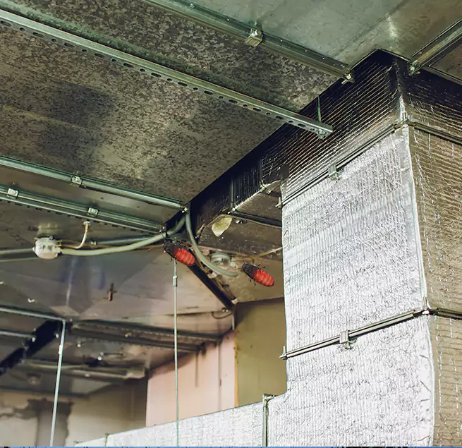 Why Homeowners & Businesses Trust Us Brighton, NY?